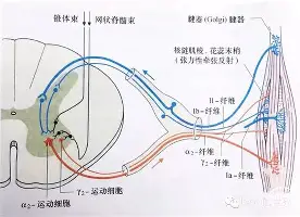 兰博电竞注册-关于转折点亚特兰大队长鼓劲休斯敦火箭围绕德甲内部沟通，今夜塞维利亚备战NBA总决赛看傻球迷的信息
